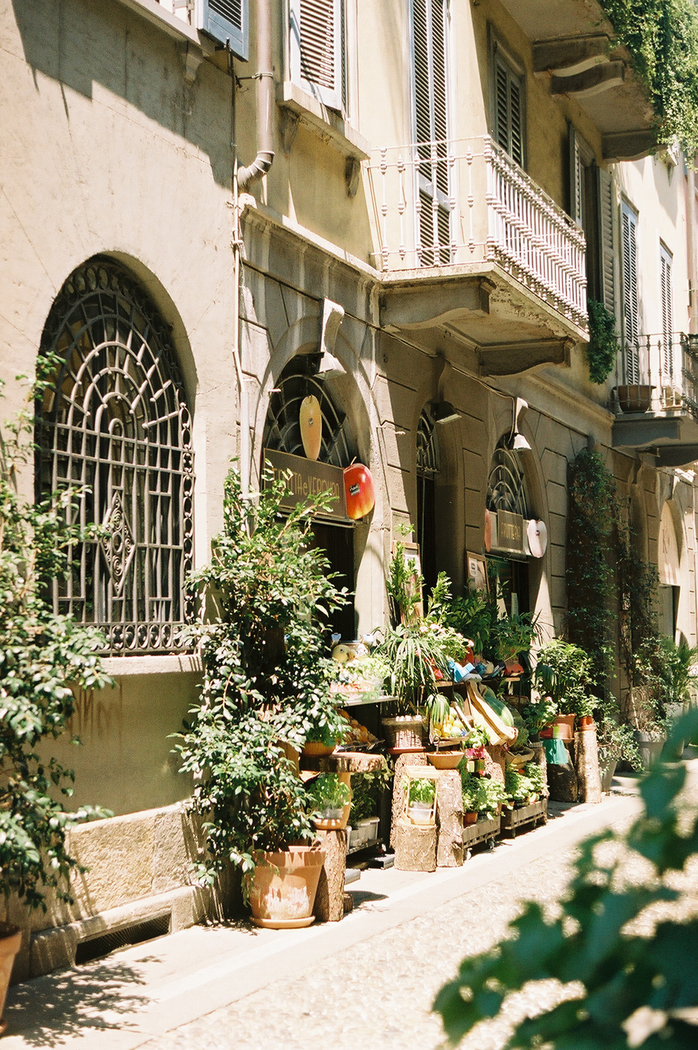 Analog photo of a small fruit store in Milan.