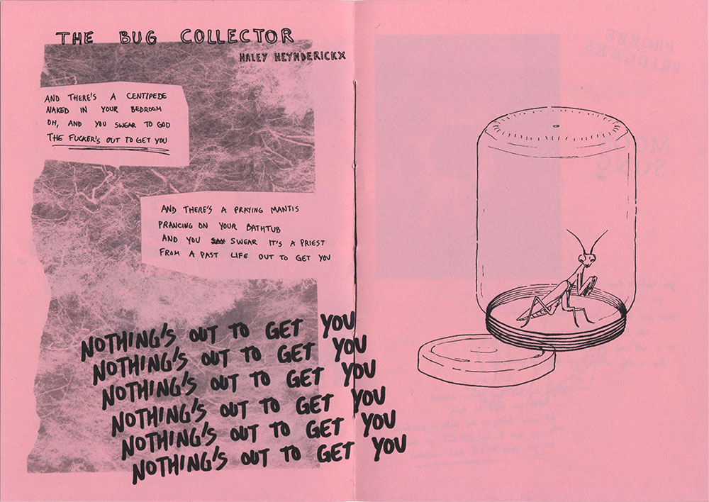 Spread of the zine with lyrics and an illustration of the song 'The Bug Collector' by Haley Heynderickx. The lyrics are written on a picture of trees and the illustration is a praying mantis trapped in a jam jar.